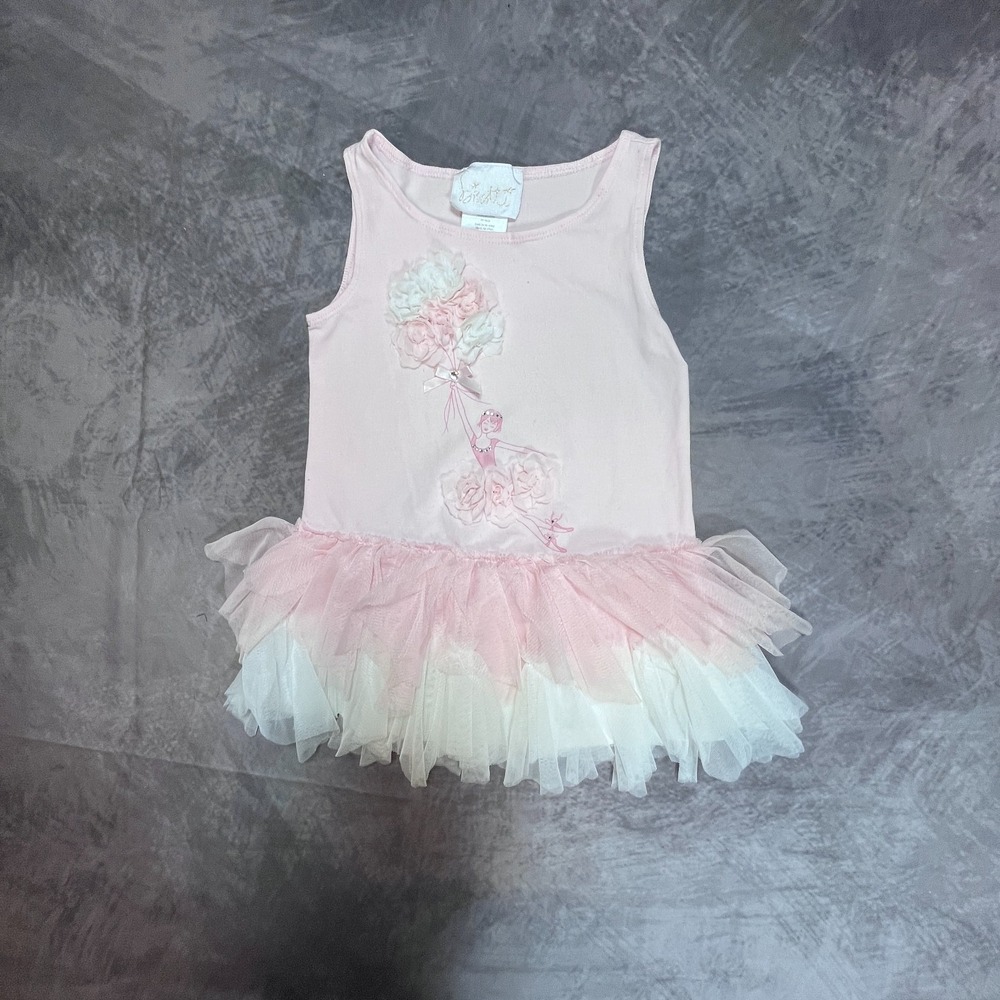 Biscotti Ruffles Tulle Dress Girls 4T Pink Ballet-Inspired Graphic Layered Lace